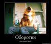 1350640592_71751381_oborotni.jpg