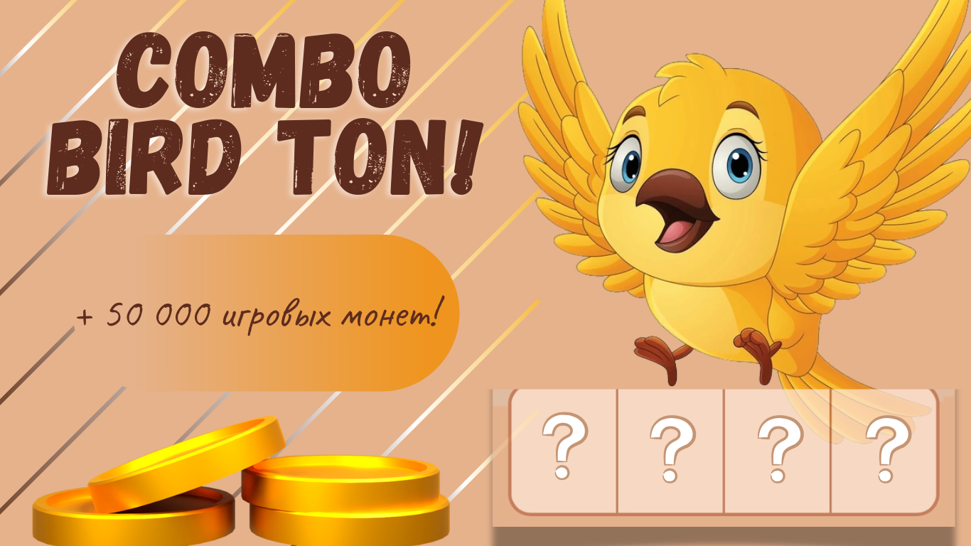 Bird Ton комбо 23 декабря