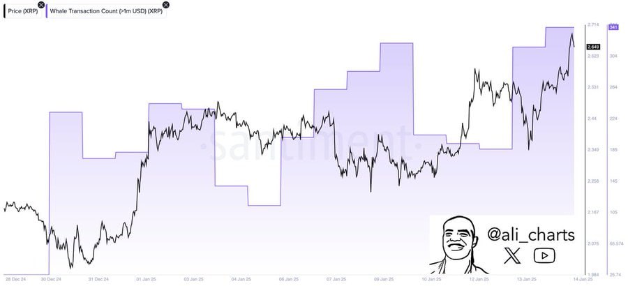 XRP стремительно растет: активность китов и слухи об ETF