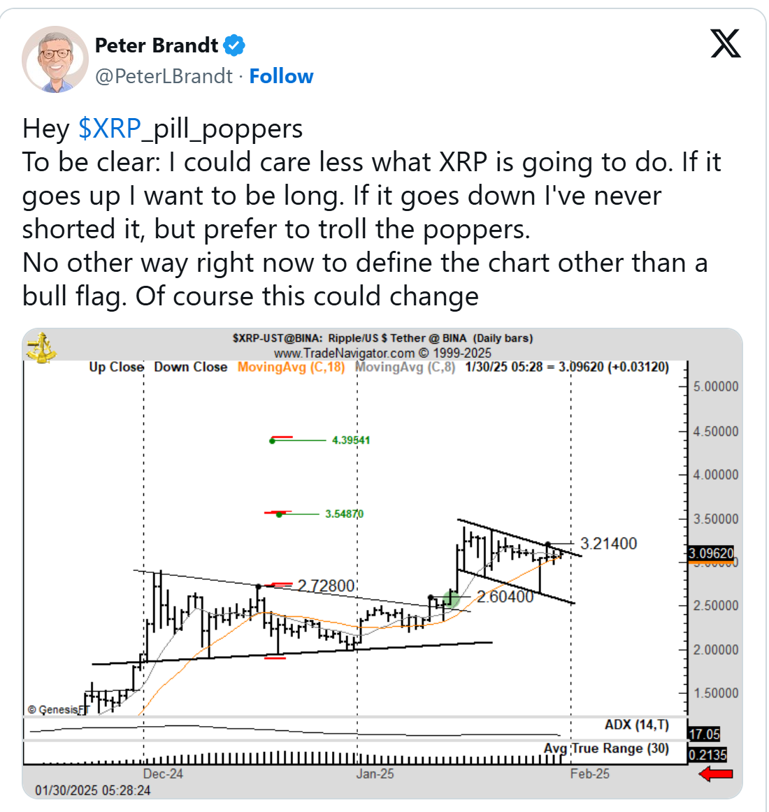 xrp prediction by peter brandt