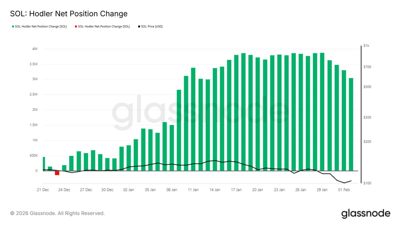 Индикатор Net Position Change для долгосрочных держателей Solana начал снижаться. Зеленые столбцы, которые отражают накопление, становятся меньше. Это означает, что инвесторы с горизонтом в несколько месяцев больше не спешат докупать актив.