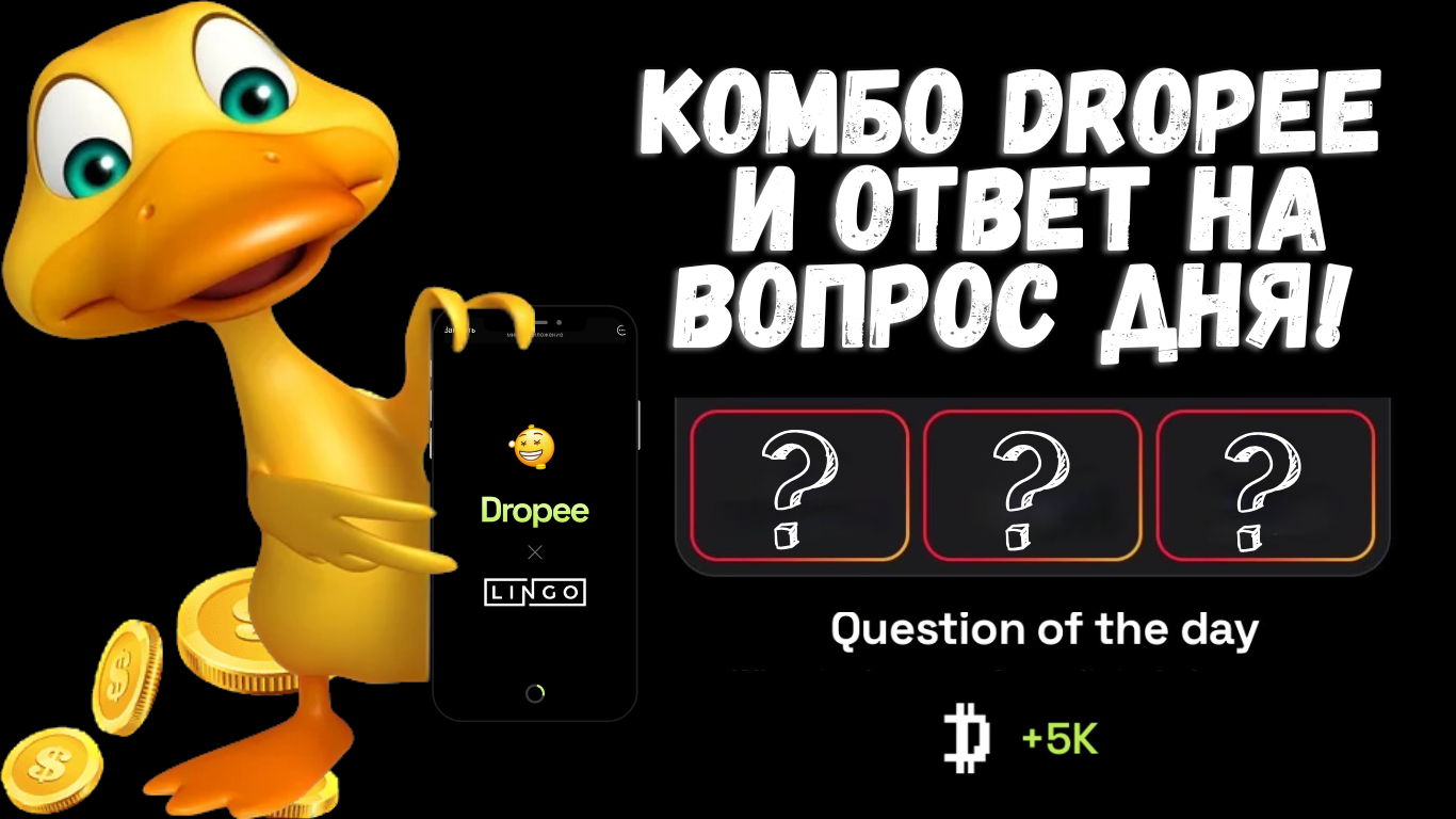 Dropee комбо сегодня