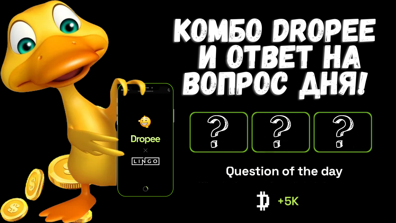 Dropee комбо 12 ноября