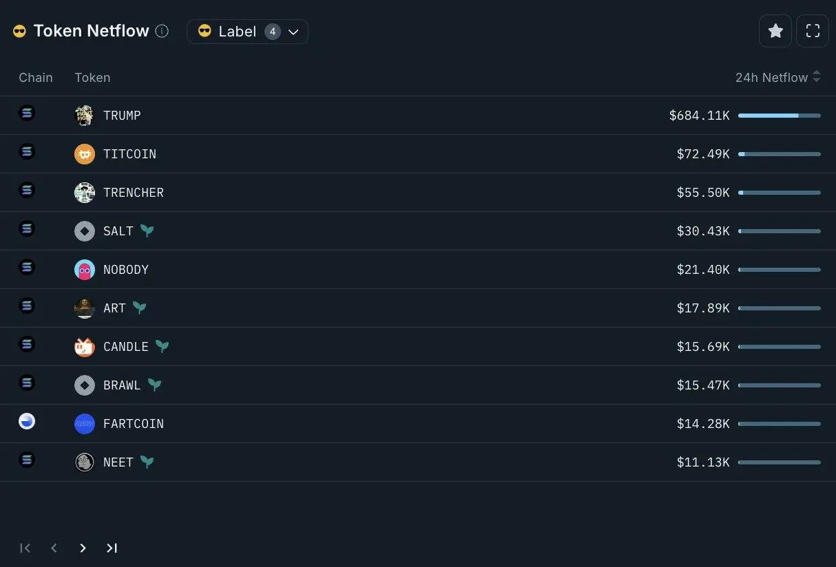 token-netflow-last-day