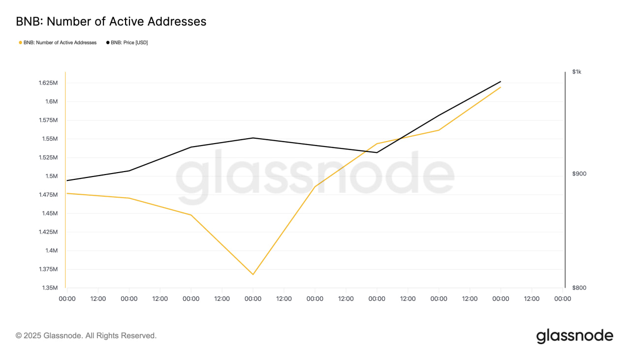 BNB впервые превысил $1 000 и установил исторический максимум