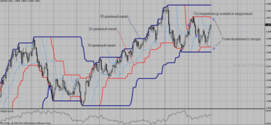 «Стратегия черепах»