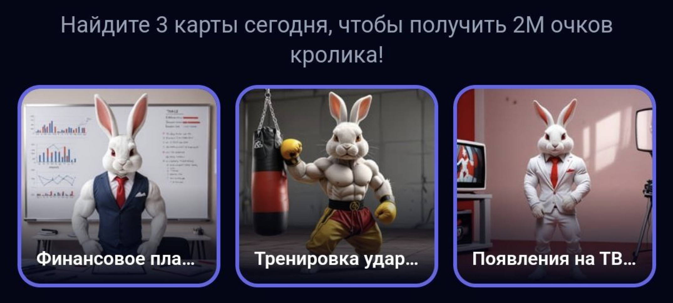 Комбо для Rocky Rabbit на 14.09