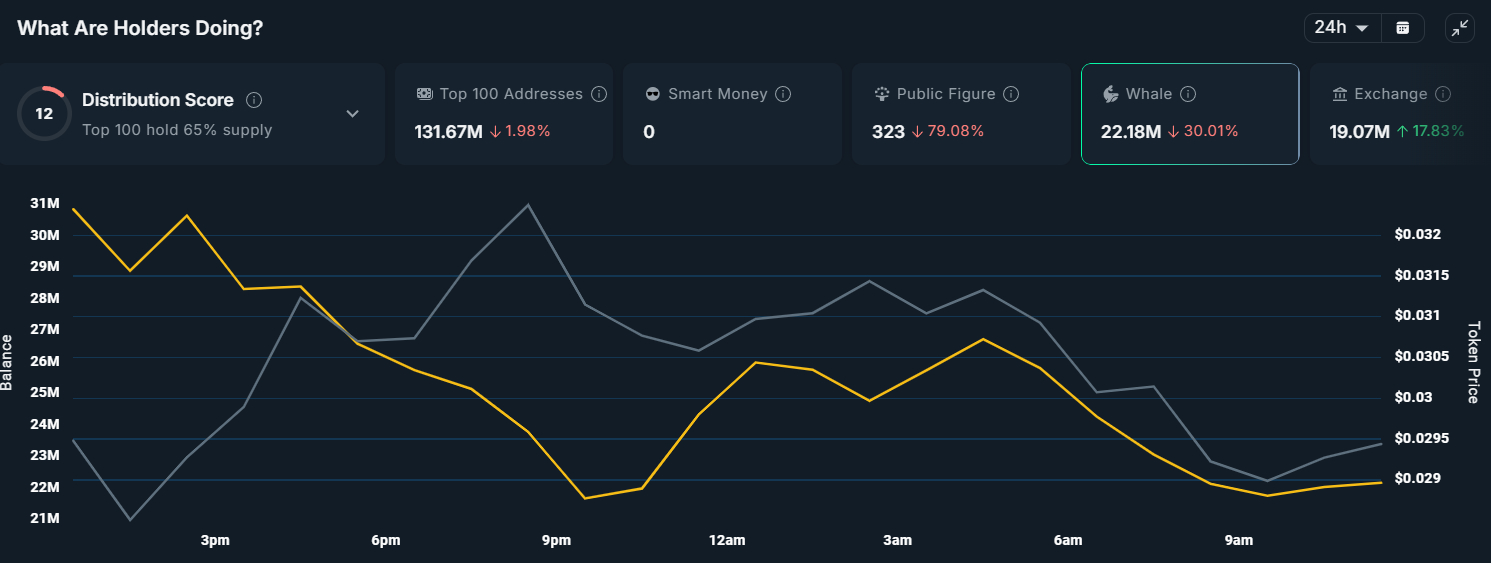 monad-whale-activity