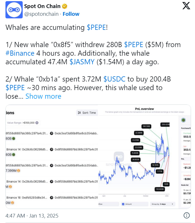 Киты скупают PEPE: стоит ли ожидать рост токена?