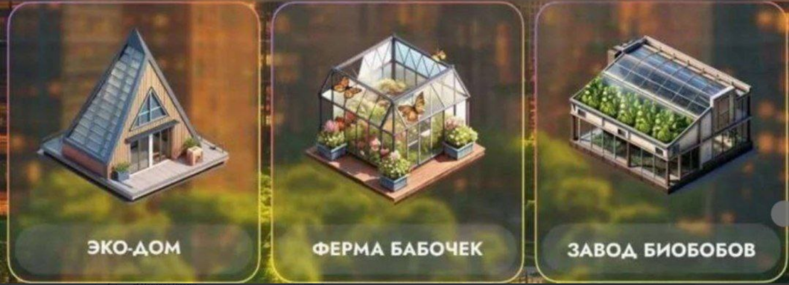 City Holder комбо дня