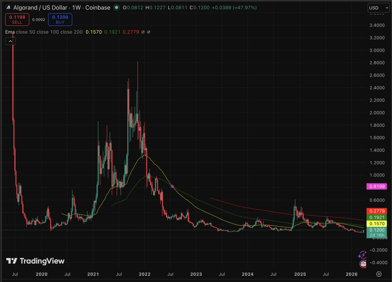 Algorand вырос на 23% после отчета Google AI