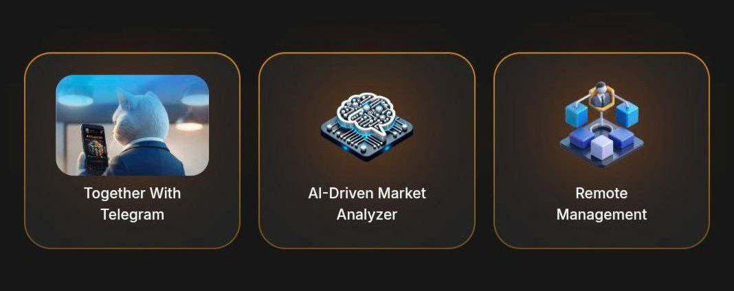 Hashcats комбо дня