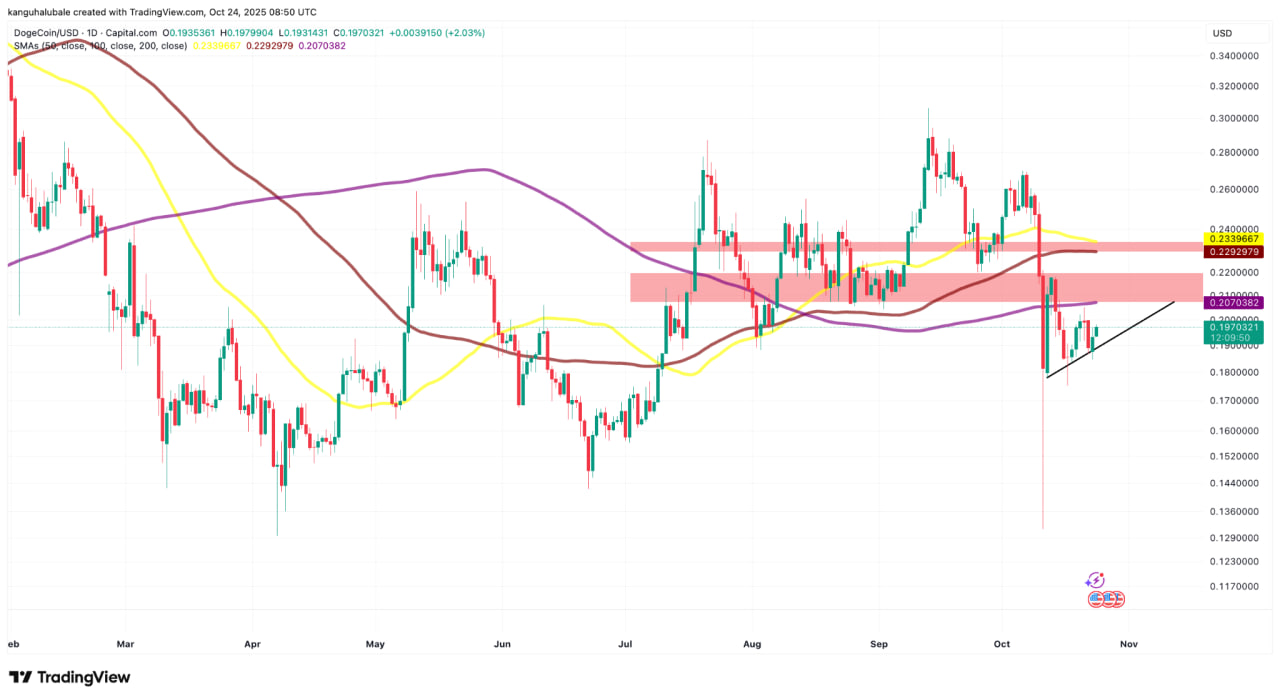 Дневной график DOGE/USD