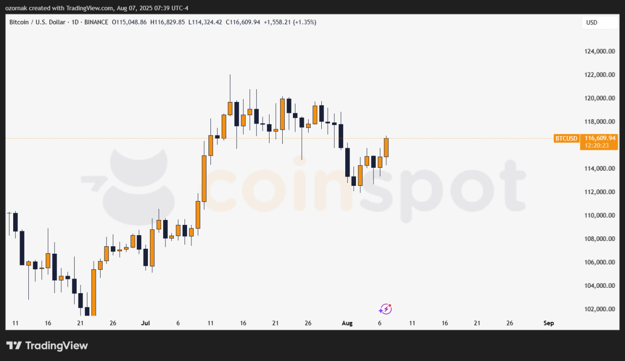 Краткосрочные держатели биткоина сбавили обороты: рынок остается сбалансированным при $116 000