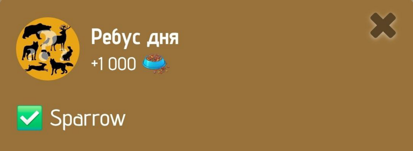 Zoo Комбо 27 января