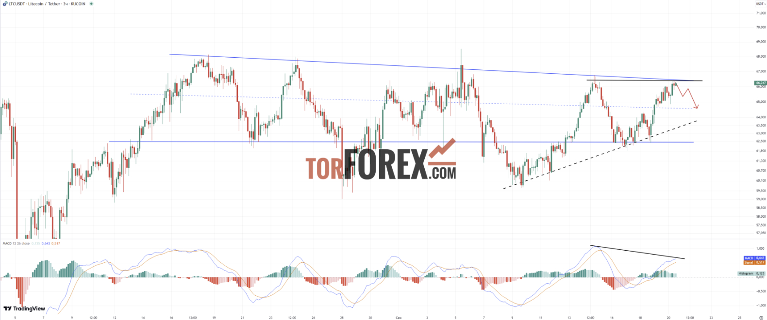 Прогноз LTC/USD на 20 сентября 2024