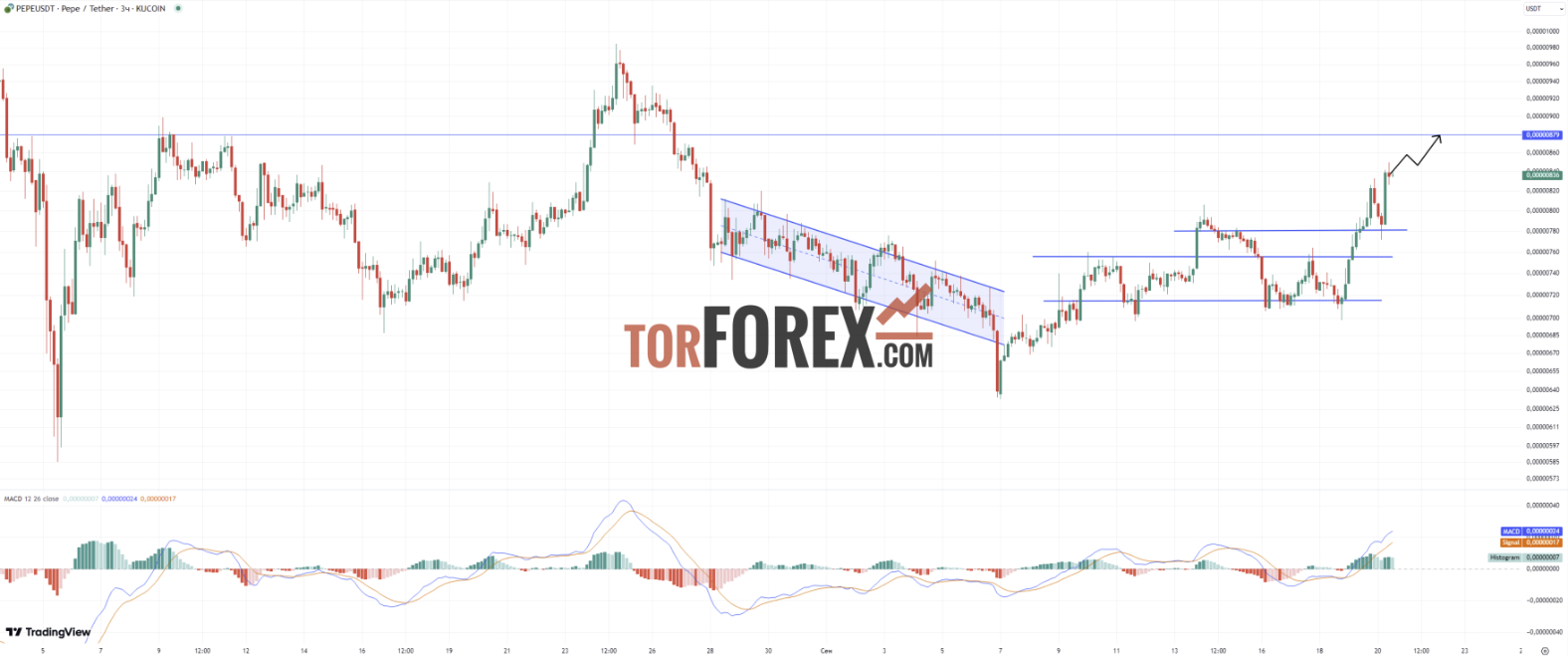 Прогноз PEPE/USD на 20 сентября 2024