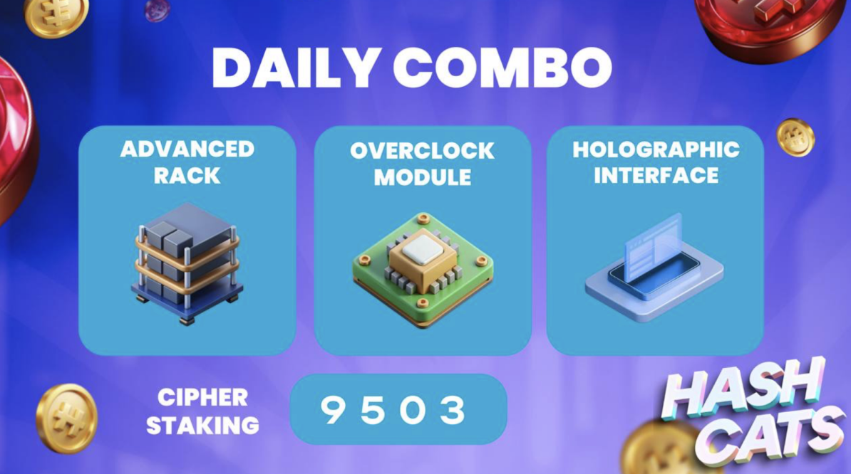 HashCats комбо дня 2 ноября