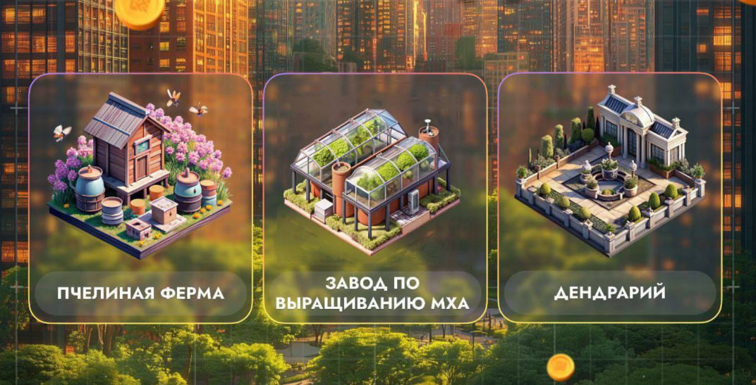 City Holder комбо дня