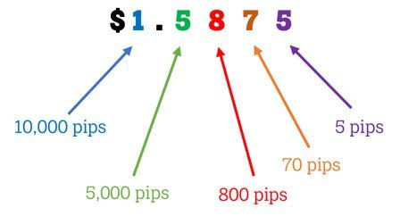 Что такое пункт в трейдинге