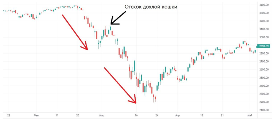 После прыжка дохлой кошки цена на графике продолжила падать