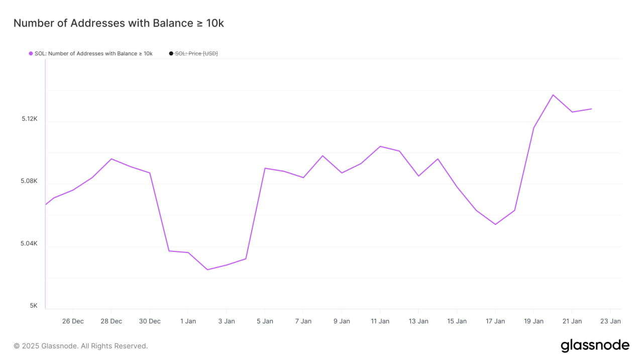Цена Solana откатилась на 14,5% несмотря на активность китов