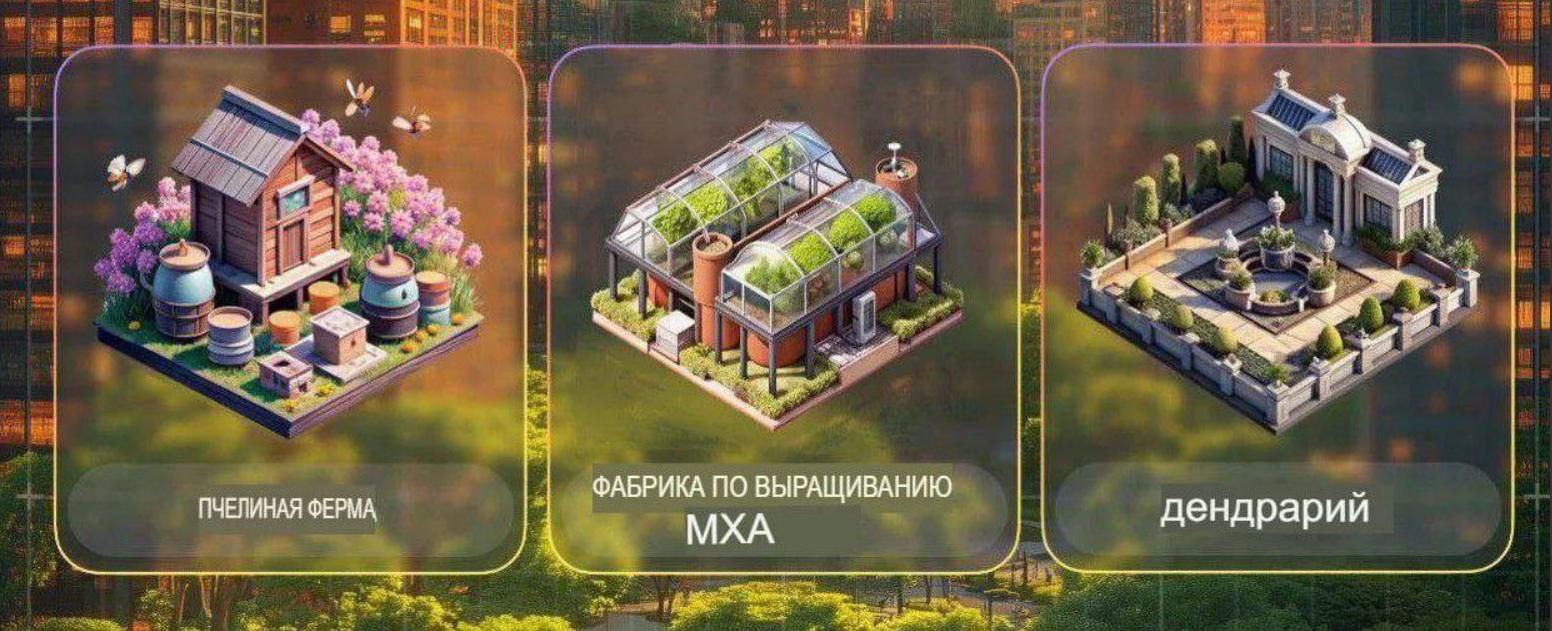 City Holder комбо дня