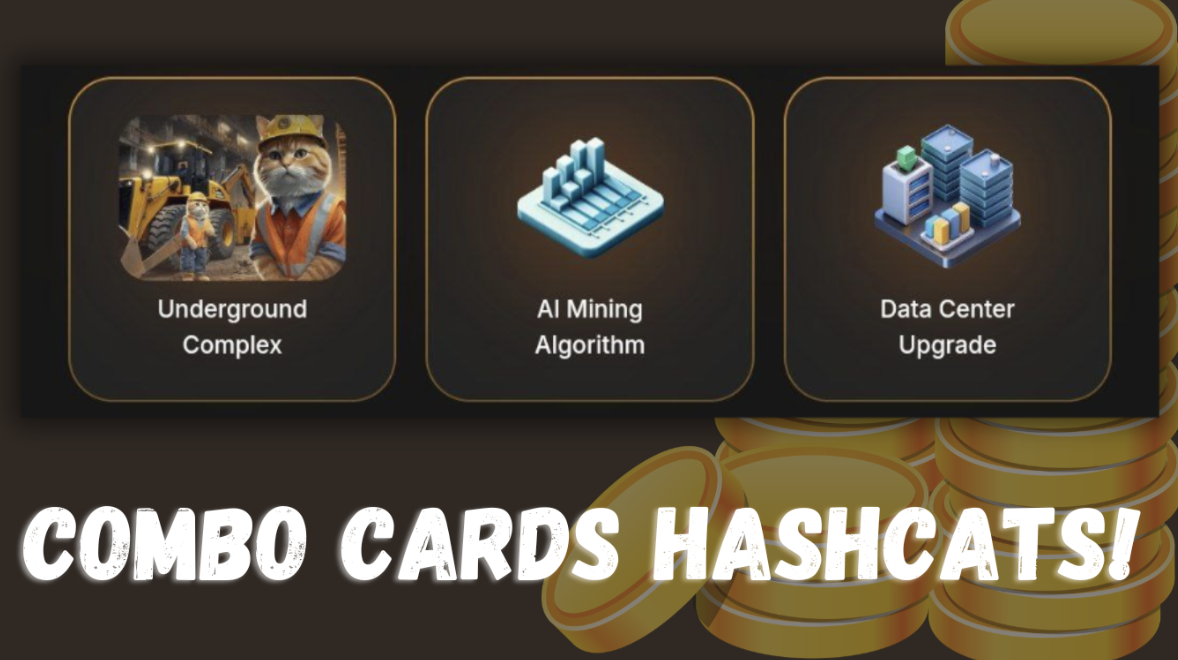 Hashcats на сегодня 23 октября