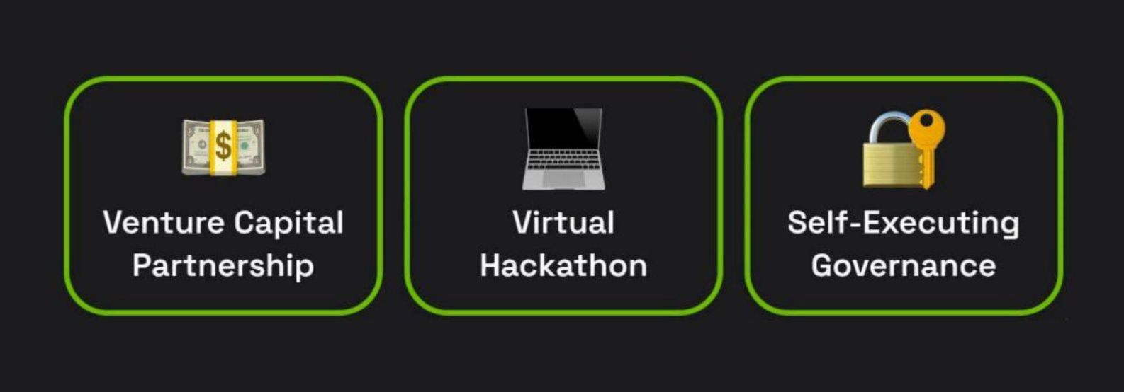 Dropee комбо декабря