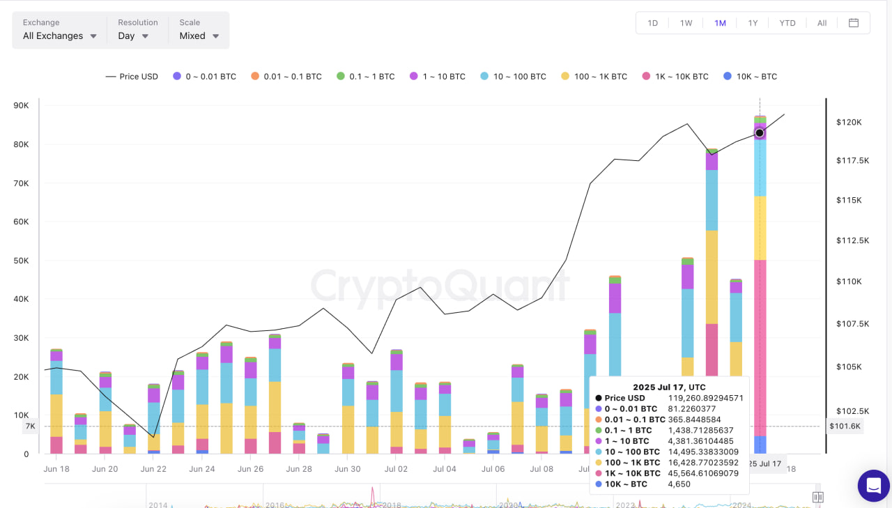 Биткоин под давлением китов: $6 млрд переведены на биржи