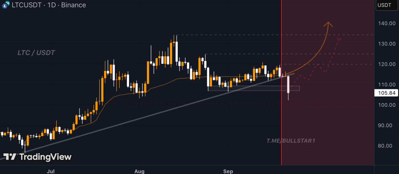 Litecoin набирает обороты на фоне ETF-заявки и активности китов