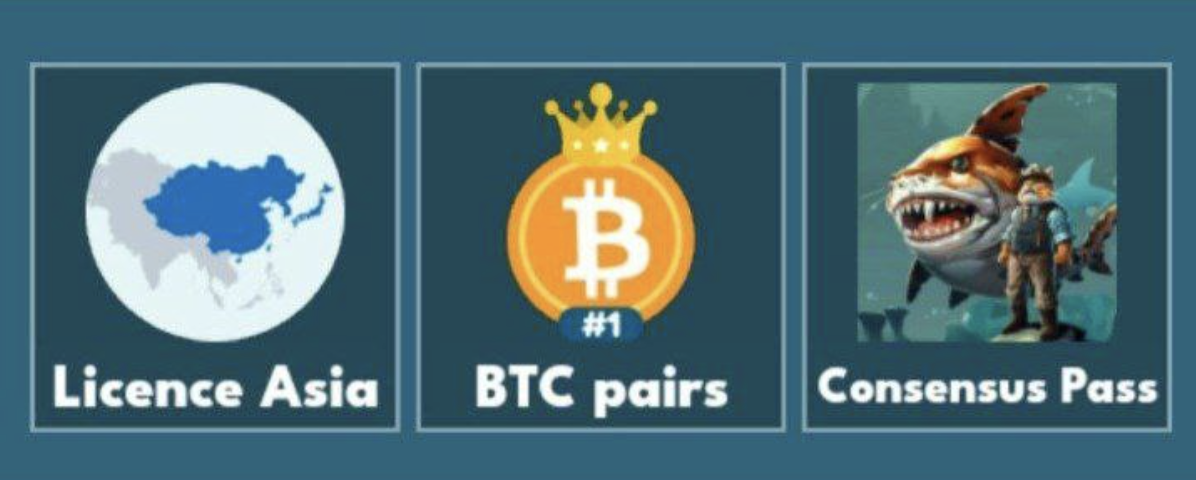 Cat Gold Miner комбо дня