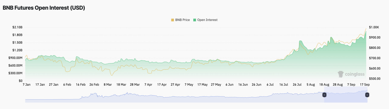 BNB впервые превысил $1 000 и установил исторический максимум