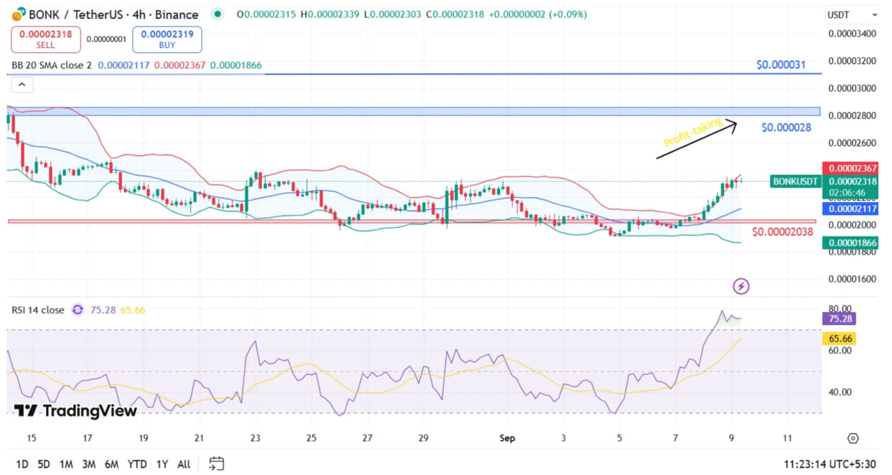 BONK растет на 8% благодаря корпоративным инвестициям и DeFi-применению