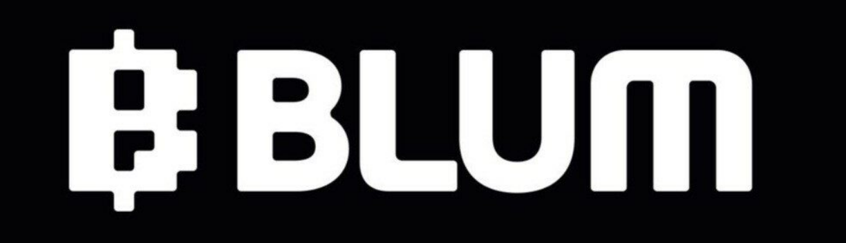 Blum комбо дня