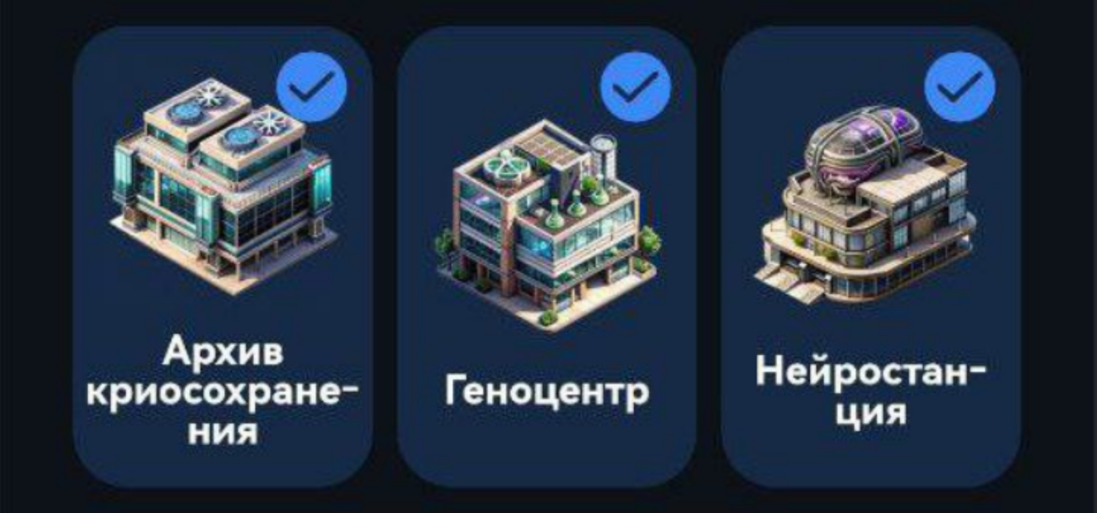 City Holder комбо дня