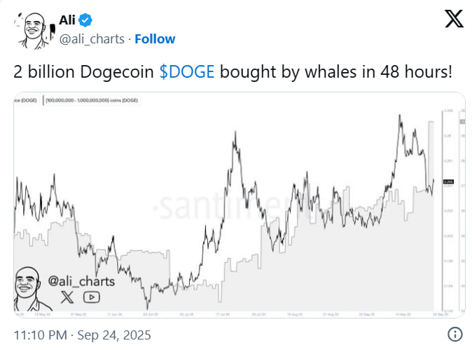 По данным с блокчейна, основное накопление DOGE пришлось на момент снижения курса к $0,245.