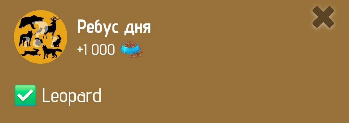 Zoo Комбо 25 января