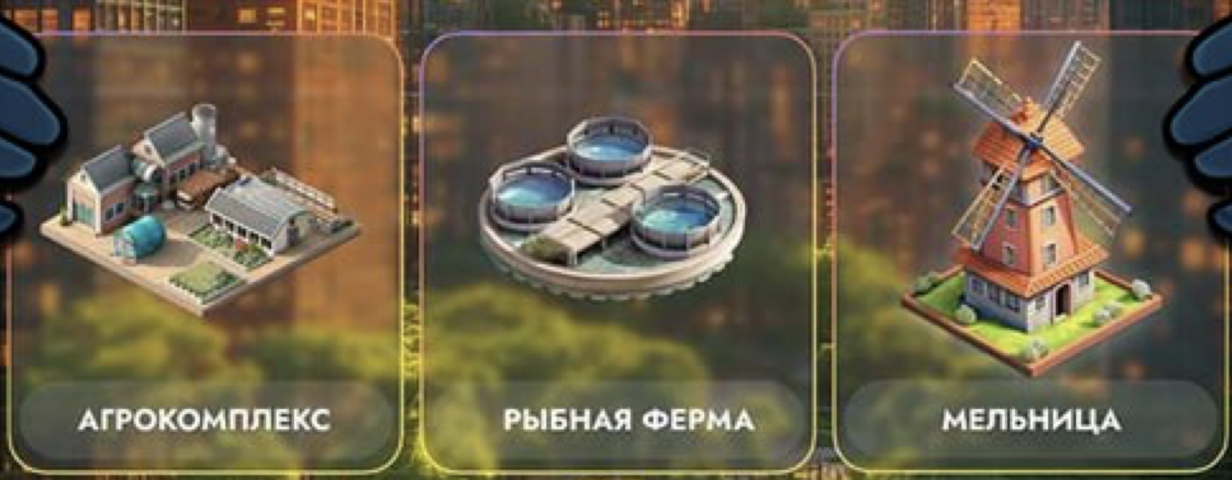 City Holder комбо 7 декабря