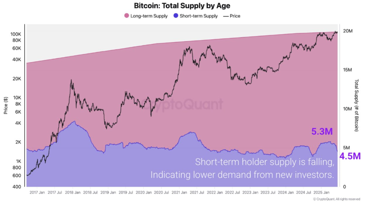BlackRock скупил 3,25% биткоинов, но розничные деньги уходят с рынка