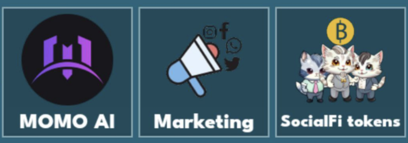 Cat Gold Miner комбо на сегодня