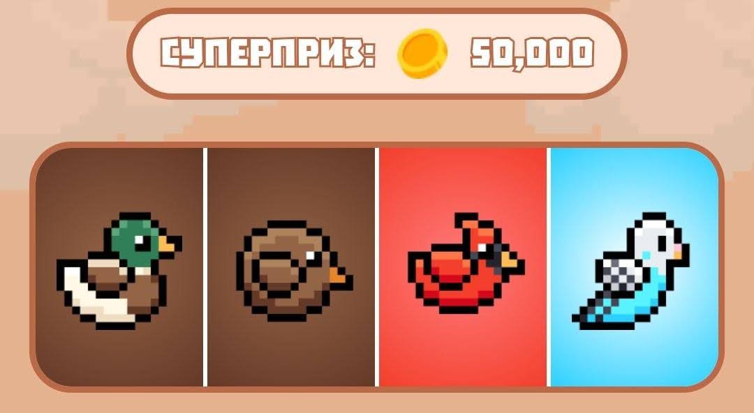 Bird Ton комбо 19 ноября