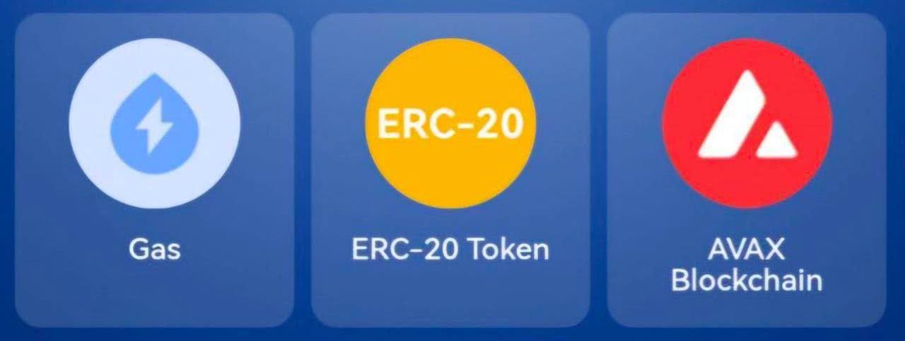 Tapcoins комбо на сегодня