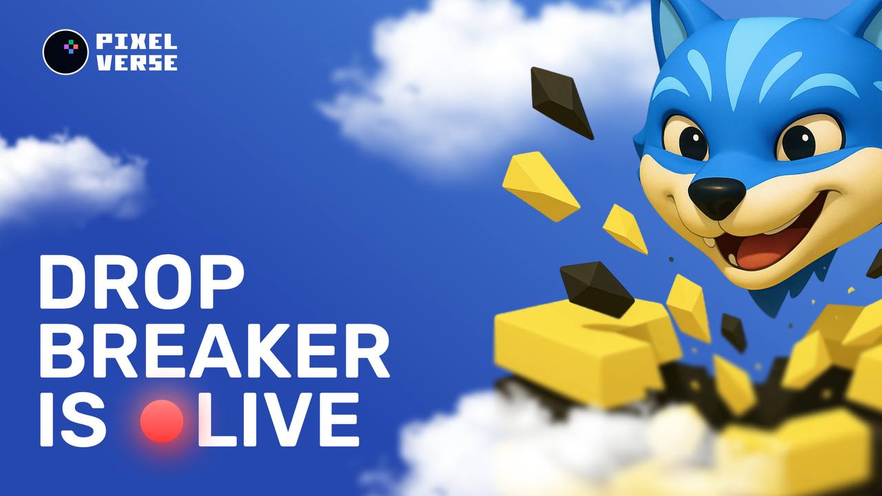 пиксель таб дейли комбо 1 июля