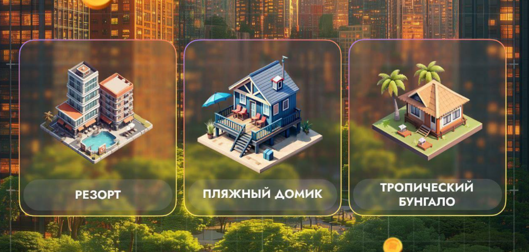 City Holder комбо дня