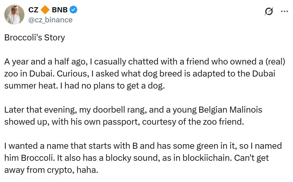 BNB Chain перехватывает волну мемкоинов на фоне спада Solana