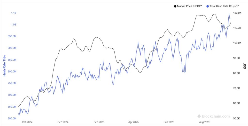 The Total Hash Rate for the Bitcoin network over the past 12 months