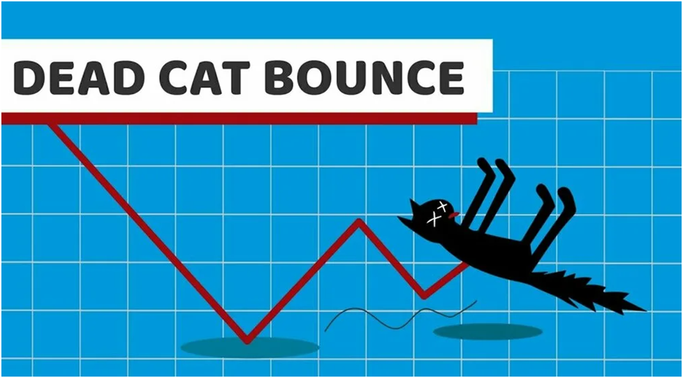 Паттерн с ироничным названием – отскок дохлой кошки