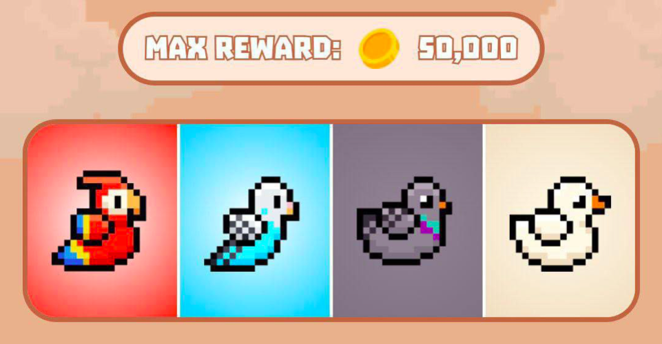 Bird Ton комбо 29 декабря