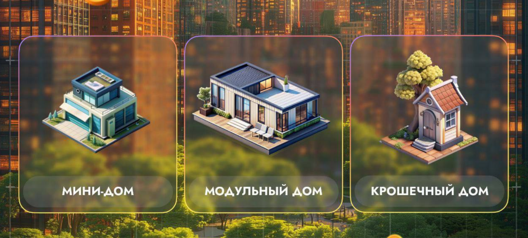 City Holder комбо дня